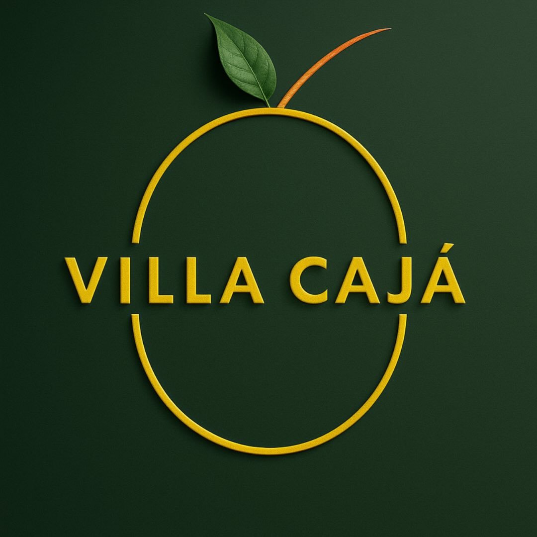 Logo 13